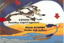 Wile E. Coyote Art Wile E. Coyote Art Famishius Vulgaris